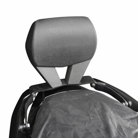  Honda Forza 250 (23-26) Sissybar (GP09230700102320)
