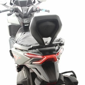 Honda Forza 250 (23-26) Sissybar (GP09230700102320)