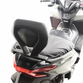  Honda Forza 250 (23-26) Sissybar (GP09230700102320)
